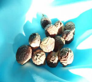 Reetha soap nuts powder is made form the crushed nuts of the Reetha Soap Tree. Picture shows soap nuts which look like walnuts on a turquoise satiny backdrop