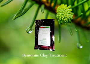 Photo of Renaissance Henna brand bentonite clay in silver foil pouch with white label against a natural green backdrop showing tree branch and water drop hanging off the the edges of green shoots. Bentonite is also white clay for natural pore tightneing