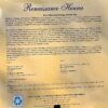 Organic Natural Hair Dye Hair Colour Kit by Renaissance Henna