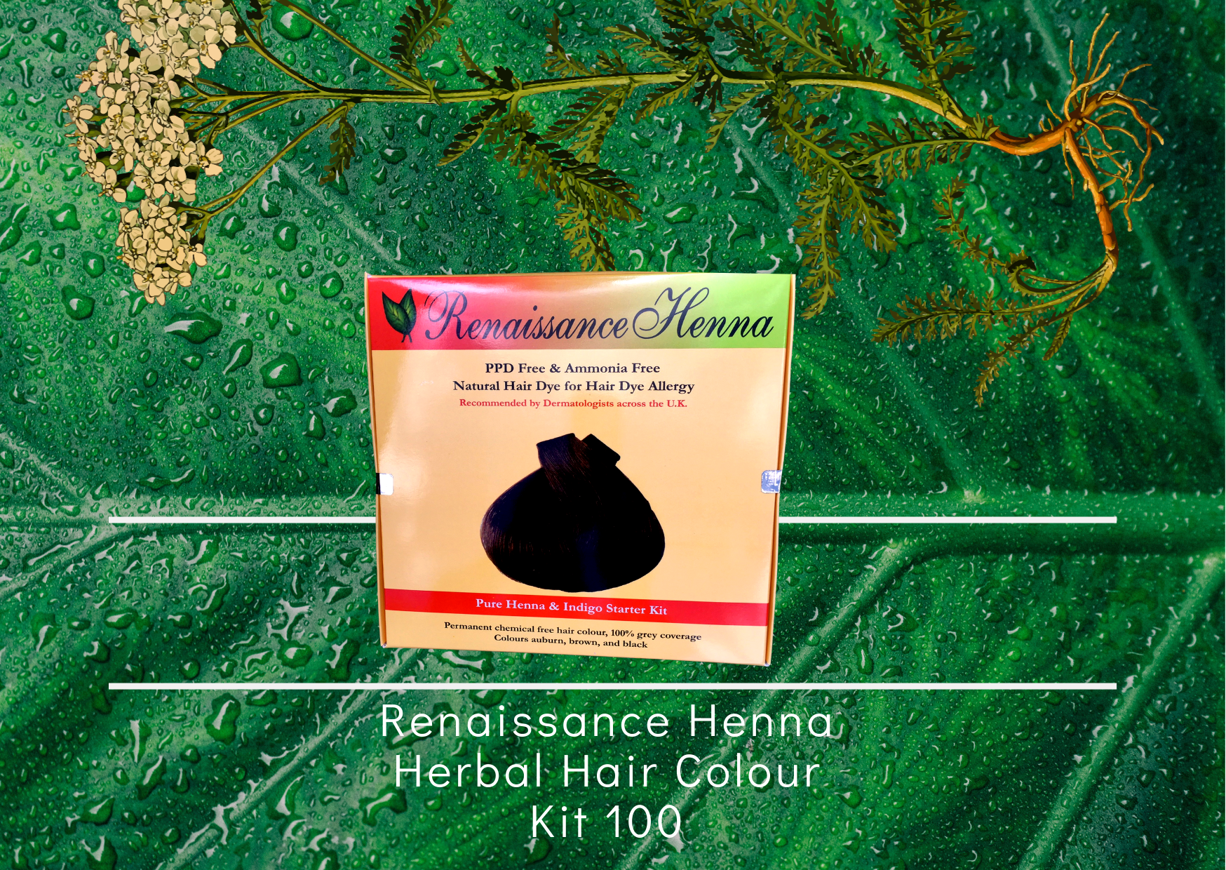 Natural hair colour plant hair dye kit - product image of boxed kit against a green leaf and plant herb background,men's dark brown black hair colour