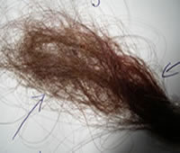 Brown hair colour swatch before Renaissance Henna