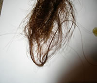 Brown hair awatch after henna and indigo