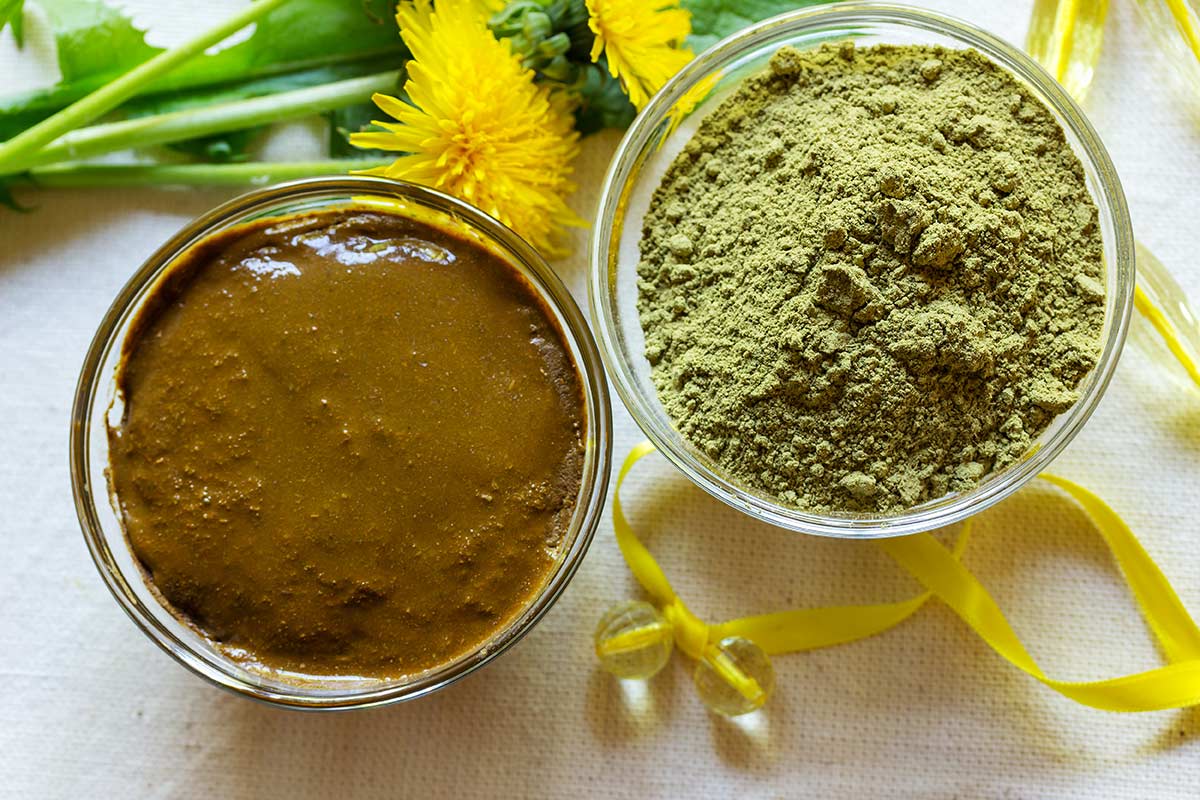 henna plant natural hair dye