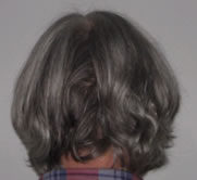 Grey Hair before Renaissance Henna, photo of back of David's grey hair