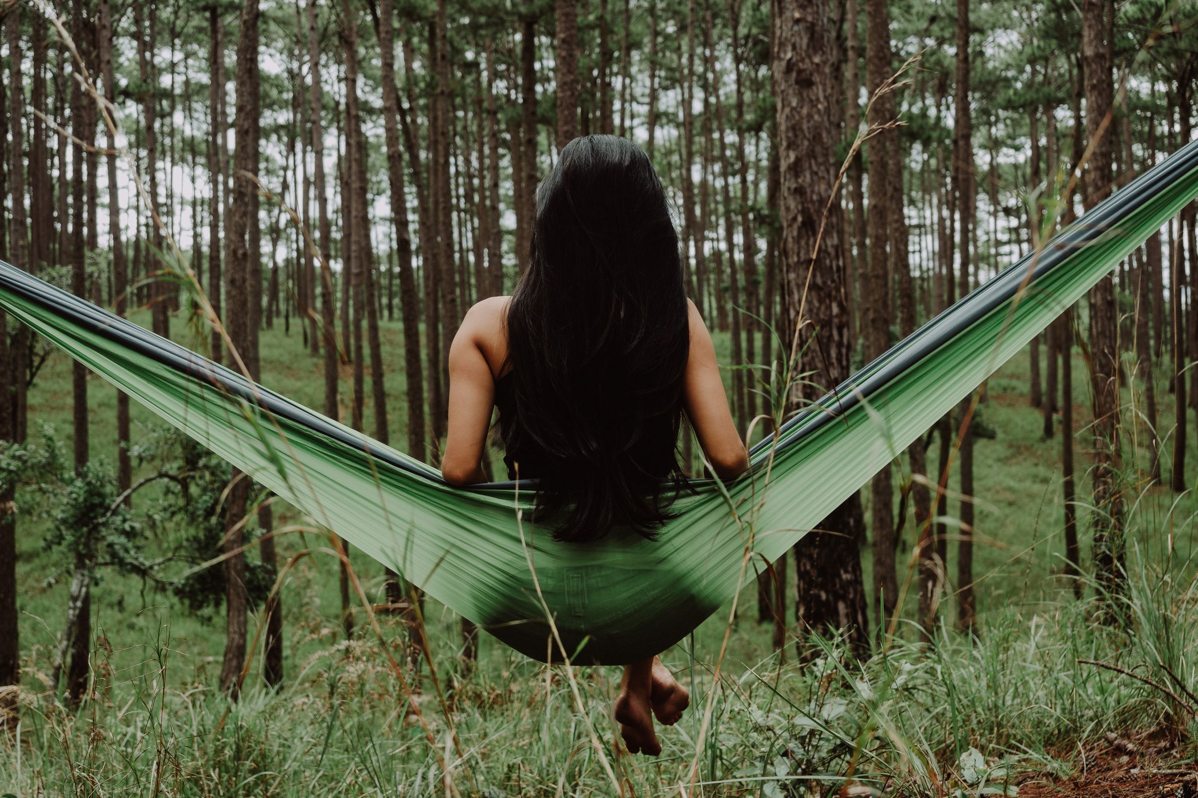 organic hair dye made from plants