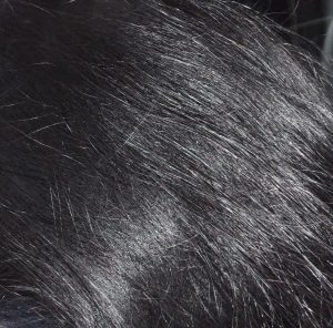 Black hair conditioning with indigo in natural black colour hair 