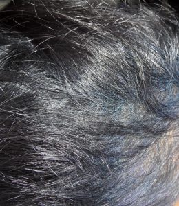 Fading Indigo Blue hair Colour turns Violet in Gray hair 
