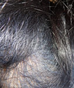Indigo Hair fading to Purple Hair Colour