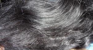 Fading Blue Hair Turns Violet hair 