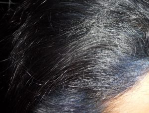 Fading Indigo Violet Colour Hair on Grey Black Hair Colour