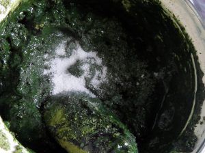 Adding Salt to Indigo