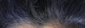 Purple hair colour in White Hair with Indigo