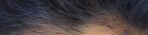 Indigo Violet hairline in Grey hairline 